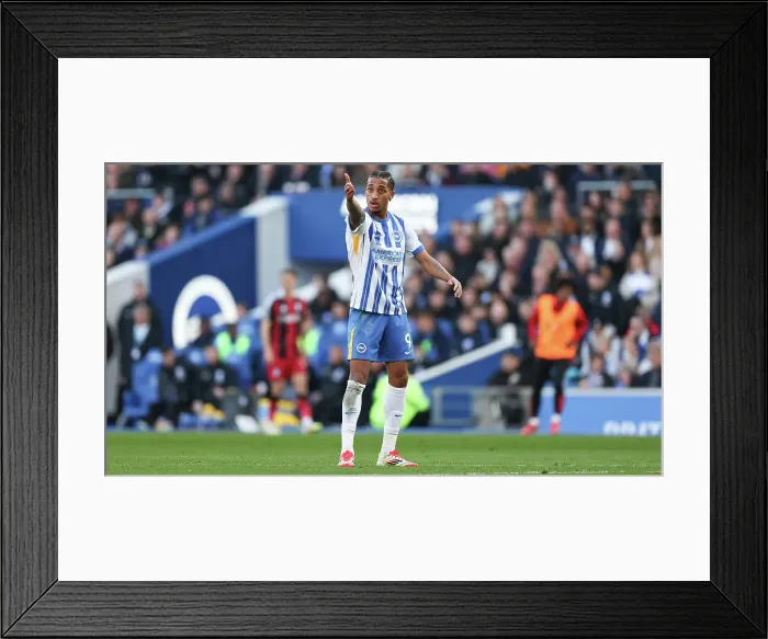 Framed Print : Brighton and Hove Albion v Fulham Premier League 08MAR25