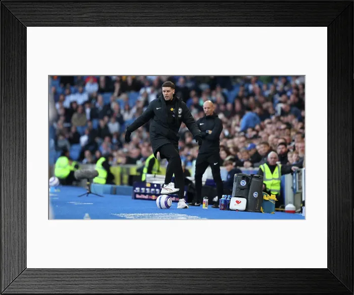 Framed Print : Brighton and Hove Albion v Fulham Premier League 08MAR25