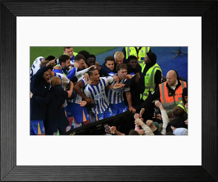 Framed Print : Brighton and Hove Albion v Fulham Premier League 08MAR25