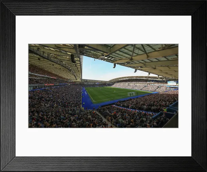 Framed Print : Brighton and Hove Albion v Fulham Premier League 08MAR25 Framed Print : Brighton and Hove Albion v Fulham Premier League 08MAR25