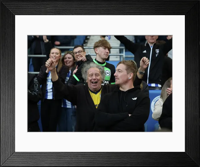 Framed Print : Brighton and Hove Albion v Fulham Premier League 08MAR25