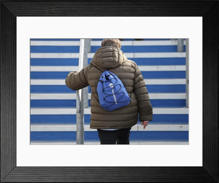 Framed Print : Brighton and Hove Albion v Fulham Premier League 08MAR25 Framed Print : Brighton and Hove Albion v Fulham Premier League 08MAR25