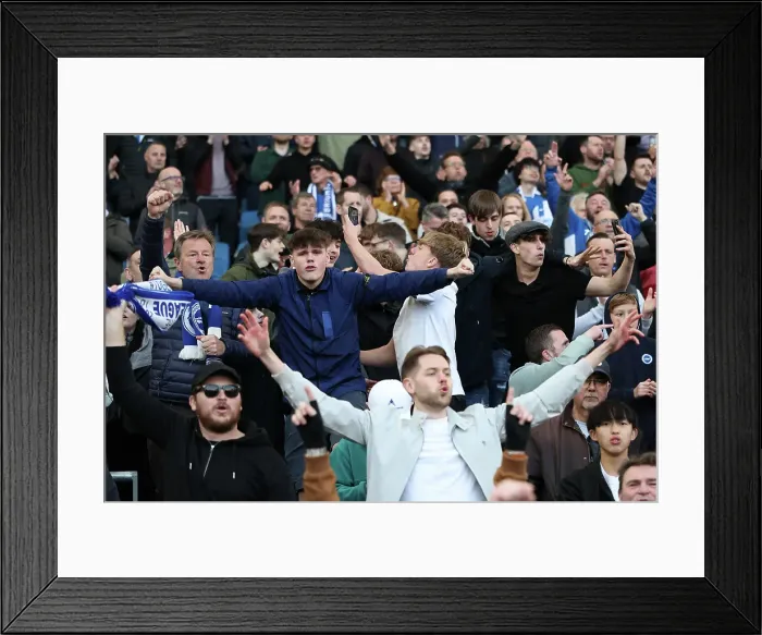Framed Print : Brighton and Hove Albion v Fulham Premier League 08MAR25