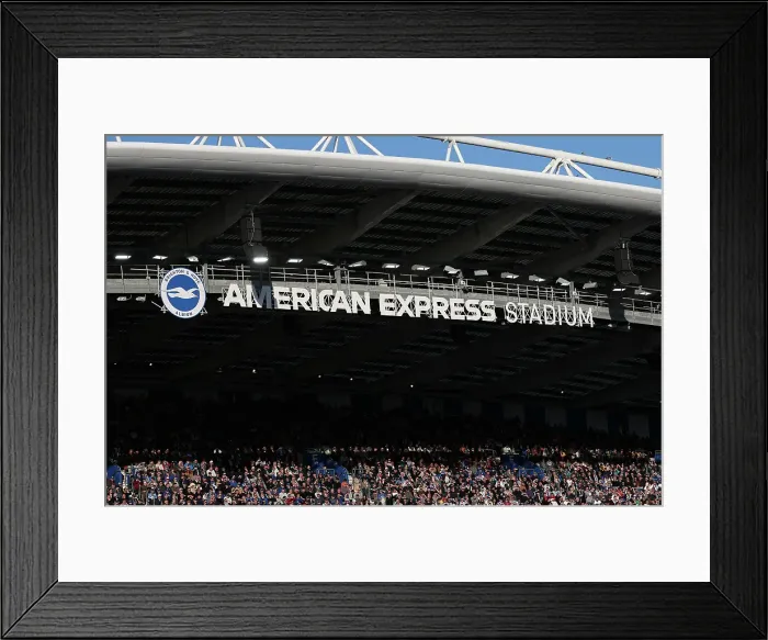 Framed Print : Brighton and Hove Albion v Fulham Premier League 08MAR25