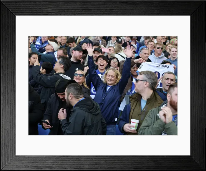 Framed Print : Brighton and Hove Albion v Fulham Premier League 08MAR25