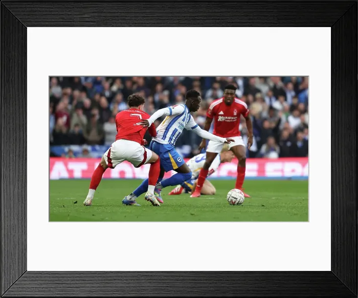 Framed Print : Brighton and Hove Albion v Nottingham Forest FA Cup quarter final 29MAR25 Framed Print : Brighton and Hove Albion v Nottingham Forest FA Cup quarter final 29MAR25