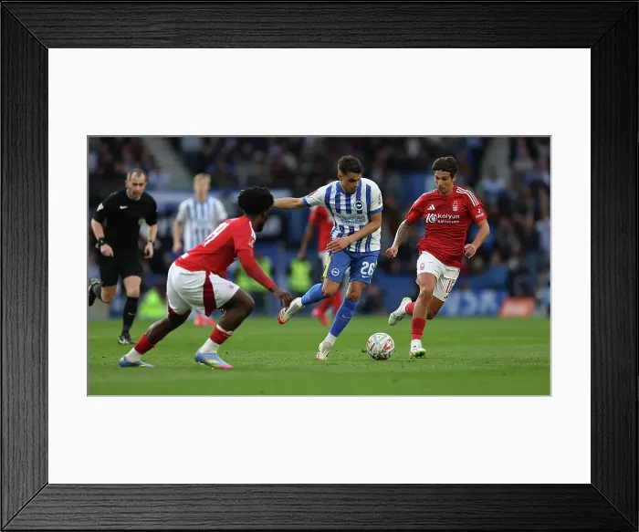 Framed Print : Brighton and Hove Albion v Nottingham Forest FA Cup quarter final 29MAR25 Framed Print : Brighton and Hove Albion v Nottingham Forest FA Cup quarter final 29MAR25