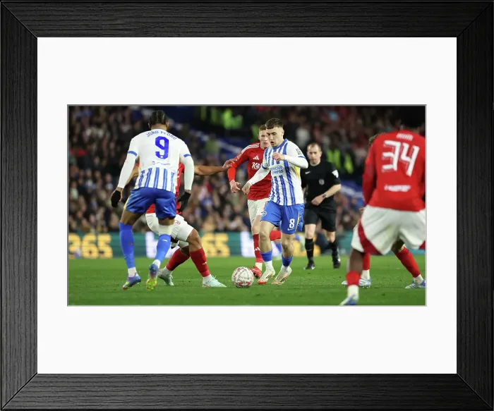 Framed Print : Brighton and Hove Albion v Nottingham Forest FA Cup quarter final 29MAR25 Framed Print : Brighton and Hove Albion v Nottingham Forest FA Cup quarter final 29MAR25