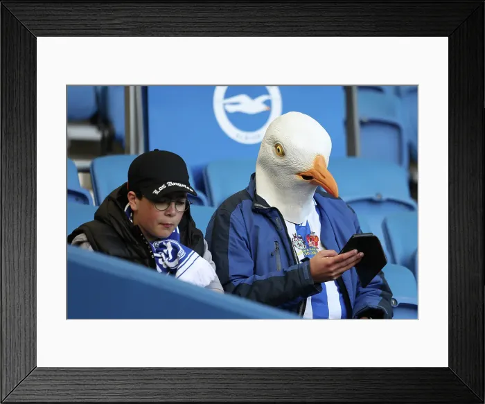 Framed Print : Brighton and Hove Albion v Nottingham Forest FA Cup quarter final 29MAR25 Framed Print : Brighton and Hove Albion v Nottingham Forest FA Cup quarter final 29MAR25