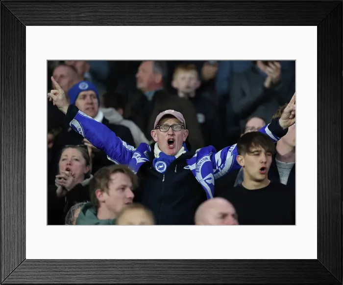 Framed Print : Brighton and Hove Albion v Aston Villa Premier League 02APR25