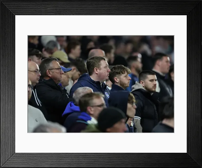 Framed Print : Brighton and Hove Albion v Aston Villa Premier League 02APR25