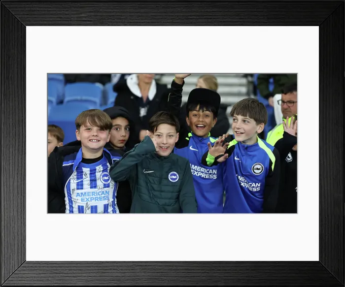 Framed Print : Brighton and Hove Albion v Aston Villa Premier League 02APR25
