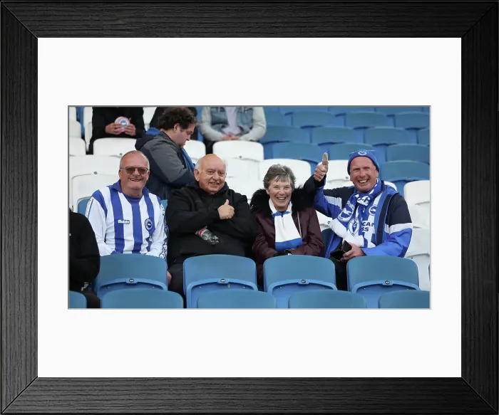 Framed Print : Brighton and Hove Albion v Aston Villa Premier League 02APR25