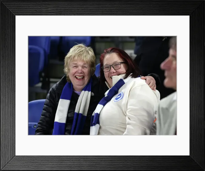 Framed Print : Brighton and Hove Albion v Aston Villa Premier League 02APR25