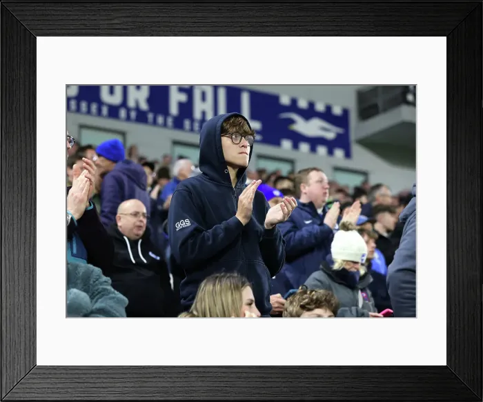 Framed Print : Brighton and Hove Albion v Aston Villa Premier League 02APR25