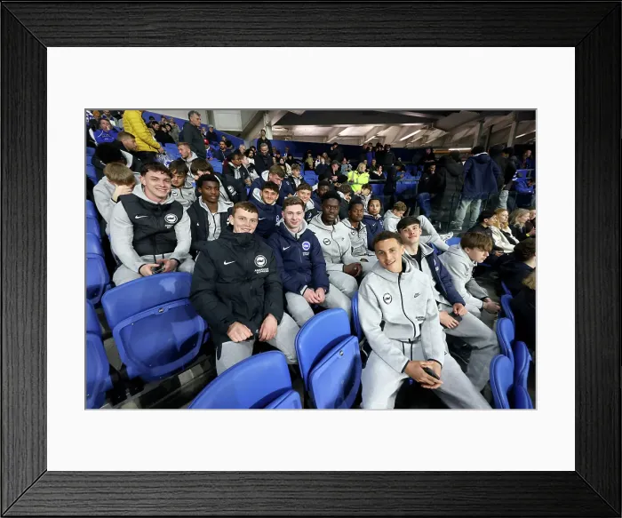 Framed Print : Brighton and Hove Albion v Aston Villa Premier League 02APR25