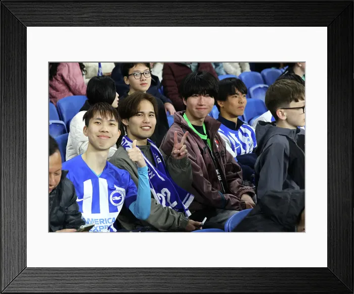 Framed Print : Brighton and Hove Albion v Aston Villa Premier League 02APR25