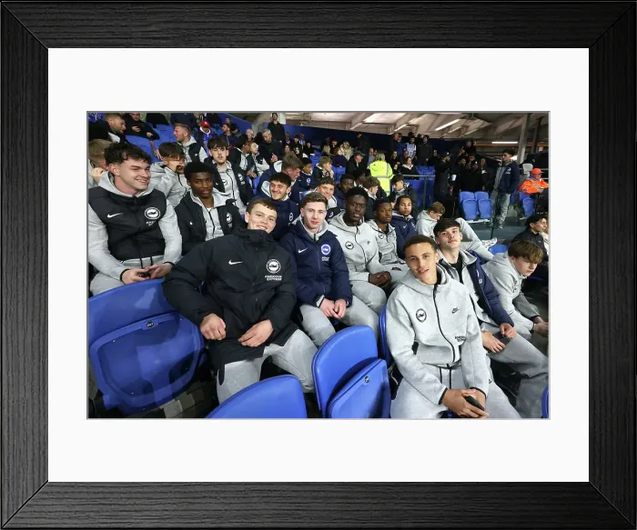 Framed Print : Brighton and Hove Albion v Aston Villa Premier League 02APR25