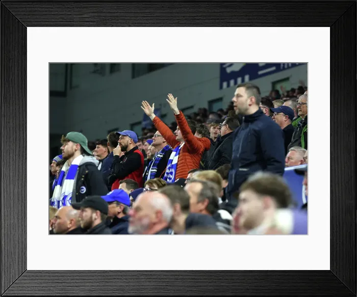 Framed Print : Brighton and Hove Albion v Aston Villa Premier League 02APR25