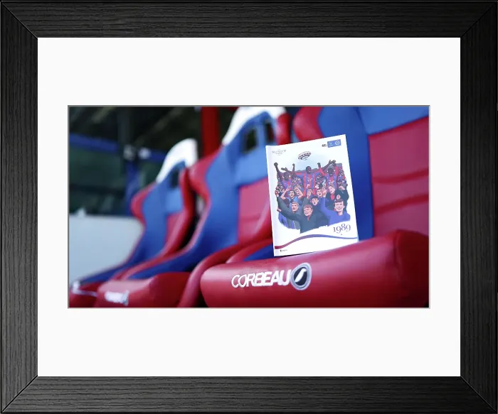 Framed Print : Crystal Palace v Brighton and Hove Albion Premier League 05APR25