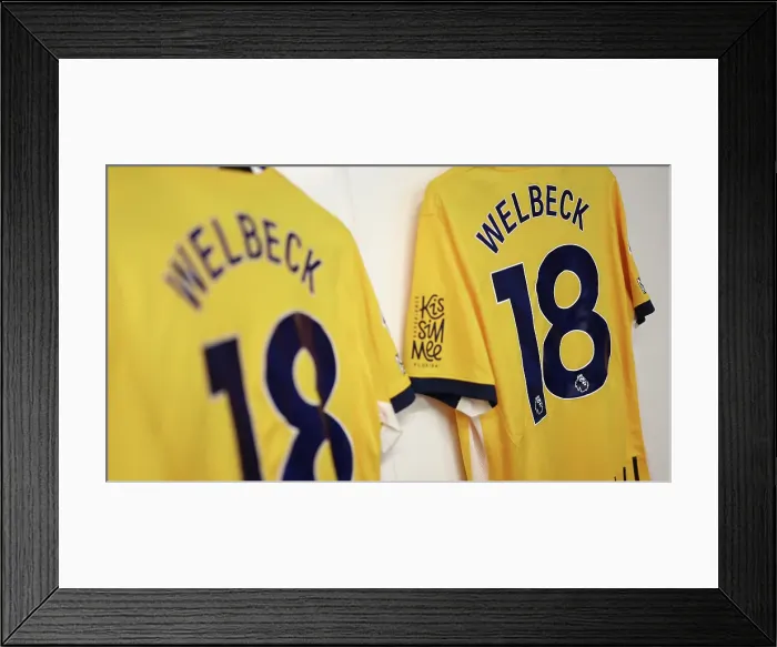 Framed Print : Crystal Palace v Brighton and Hove Albion Premier League 05APR25