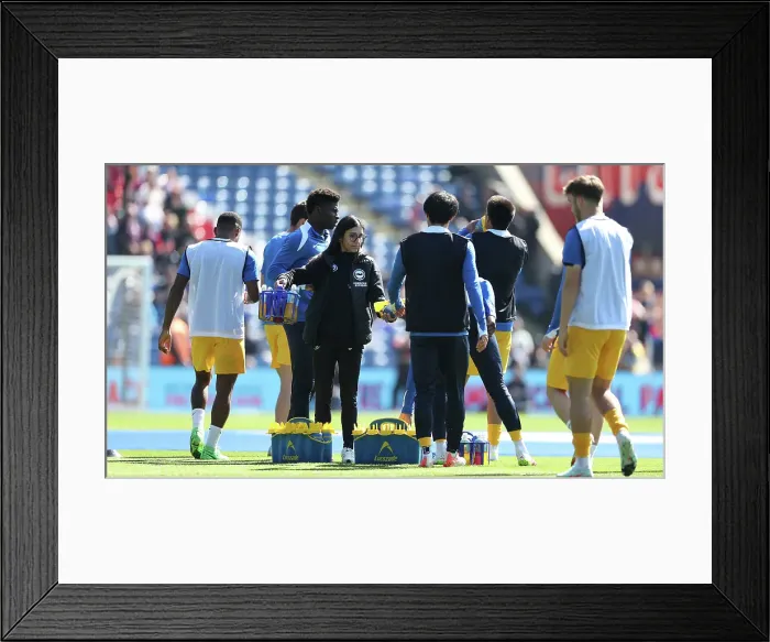 Framed Print : Crystal Palace v Brighton and Hove Albion Premier League 05APR25 Framed Print : Crystal Palace v Brighton and Hove Albion Premier League 05APR25