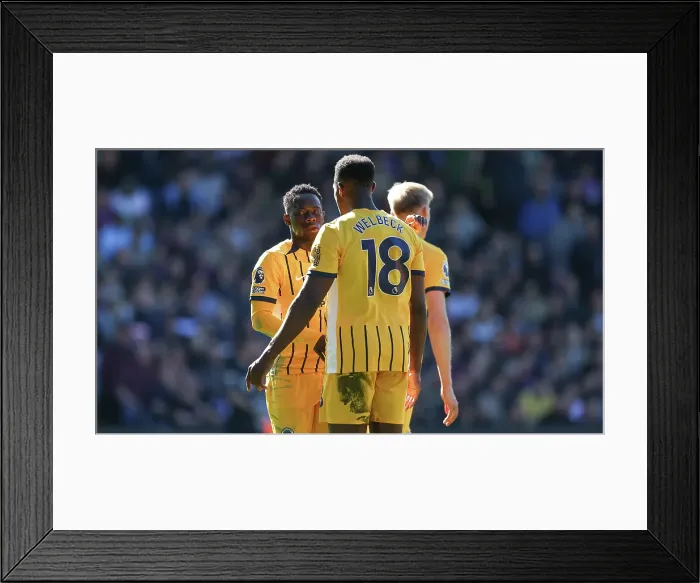 Framed Print : Crystal Palace v Brighton and Hove Albion Premier League 05APR25