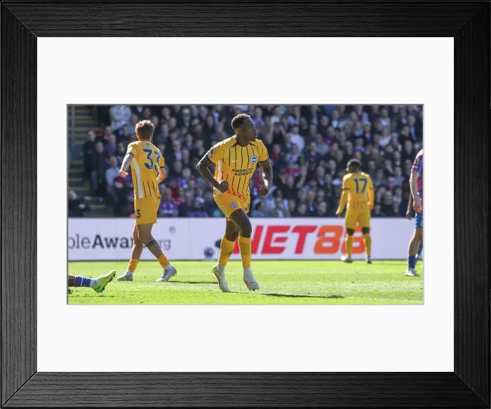 Framed Print : Crystal Palace v Brighton and Hove Albion Premier League 05APR25