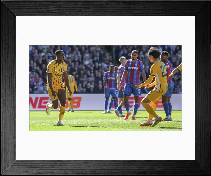 Framed Print : Crystal Palace v Brighton and Hove Albion Premier League 05APR25