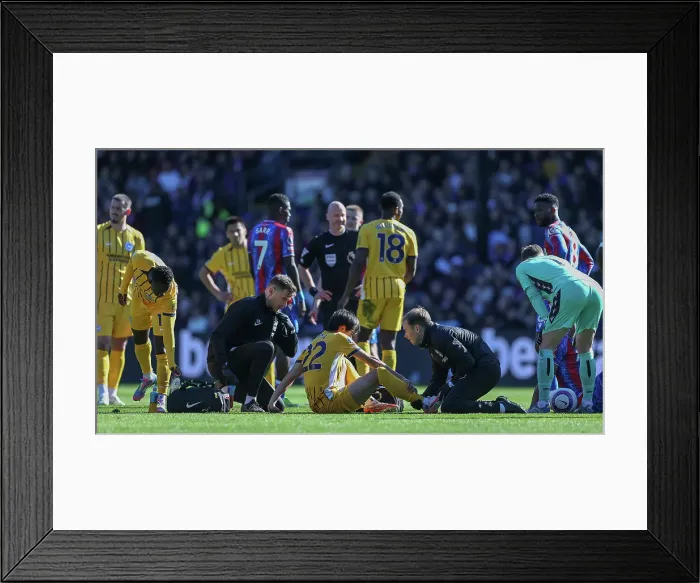 Framed Print : Crystal Palace v Brighton and Hove Albion Premier League 05APR25