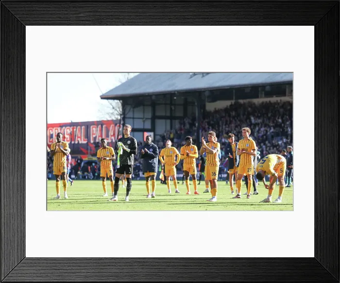 Framed Print : Crystal Palace v Brighton and Hove Albion Premier League 05APR25