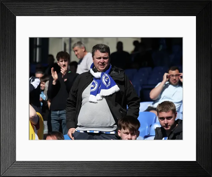 Framed Print : Crystal Palace v Brighton and Hove Albion Premier League 05APR25