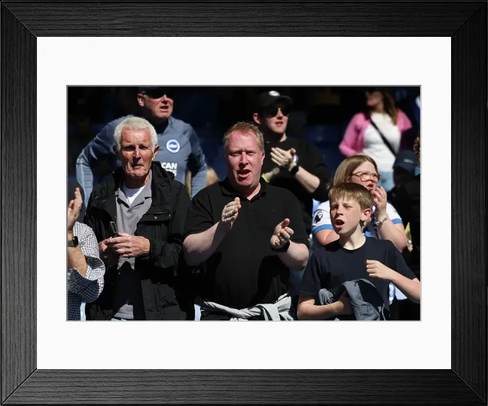 Framed Print : Crystal Palace v Brighton and Hove Albion Premier League 05APR25