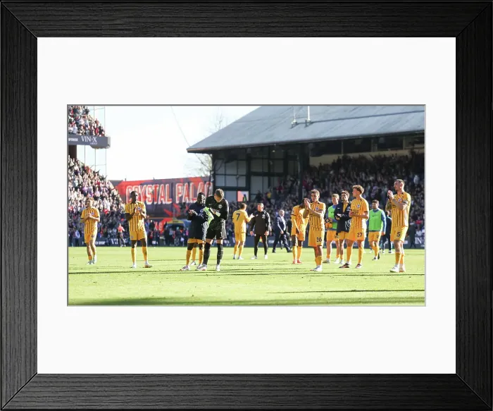 Framed Print : Crystal Palace v Brighton and Hove Albion Premier League 05APR25