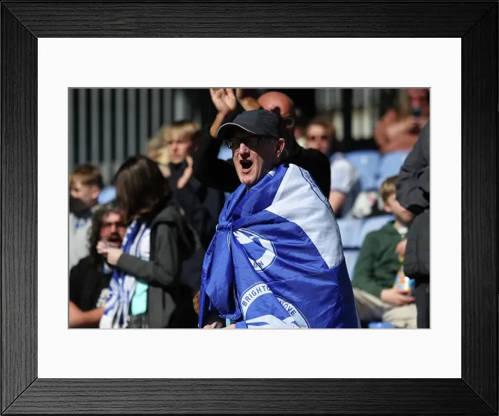 Framed Print : Crystal Palace v Brighton and Hove Albion Premier League 05APR25 Framed Print : Crystal Palace v Brighton and Hove Albion Premier League 05APR25