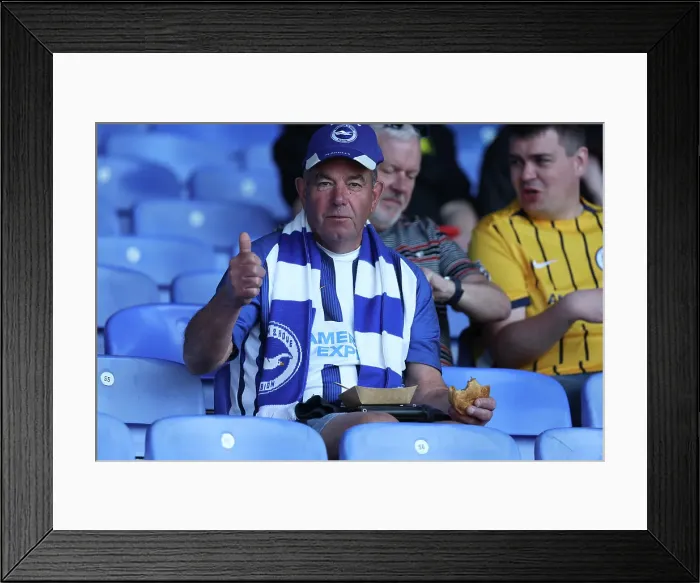 Framed Print : Crystal Palace v Brighton and Hove Albion Premier League 05APR25 Framed Print : Crystal Palace v Brighton and Hove Albion Premier League 05APR25