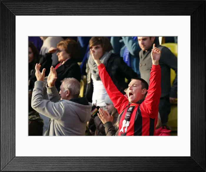 Framed Print : A Sea of Passion: Brighton & Hove Albion vs. Peterborough United (October 30, 2010) - The Intense Energy of the Crowd Framed Print : A Sea of Passion: Brighton & Hove Albion vs. Peterborough United (October 30, 2010) - The Intense Energy of the Crowd