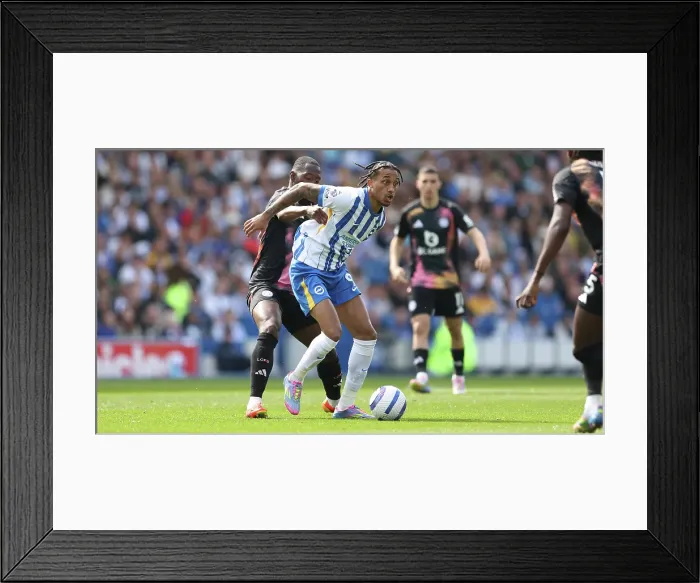 Framed Print : Brighton and Hove Albion v Leicester City Premier League 12APR25 Framed Print : Brighton and Hove Albion v Leicester City Premier League 12APR25