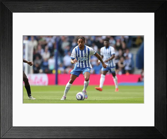 Framed Print : Brighton and Hove Albion v Leicester City Premier League 12APR25 Framed Print : Brighton and Hove Albion v Leicester City Premier League 12APR25