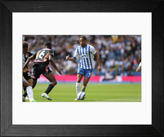 Framed Print : Brighton and Hove Albion v Leicester City Premier League 12APR25 Framed Print : Brighton and Hove Albion v Leicester City Premier League 12APR25