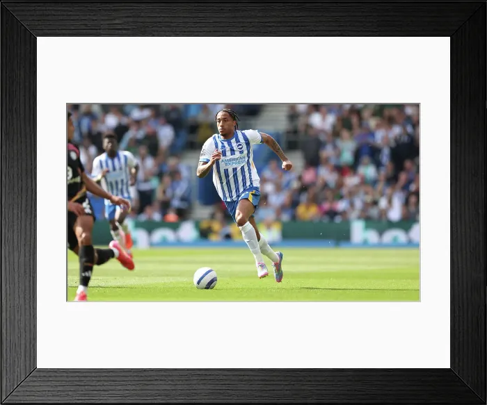 Framed Print : Brighton and Hove Albion v Leicester City Premier League 12APR25 Framed Print : Brighton and Hove Albion v Leicester City Premier League 12APR25