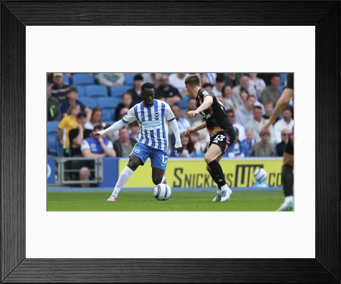Framed Print : Brighton and Hove Albion v Leicester City Premier League 12APR25 Framed Print : Brighton and Hove Albion v Leicester City Premier League 12APR25