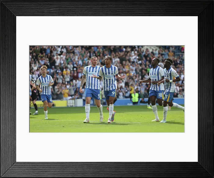 Framed Print : Brighton and Hove Albion v Leicester City Premier League 12APR25 Framed Print : Brighton and Hove Albion v Leicester City Premier League 12APR25