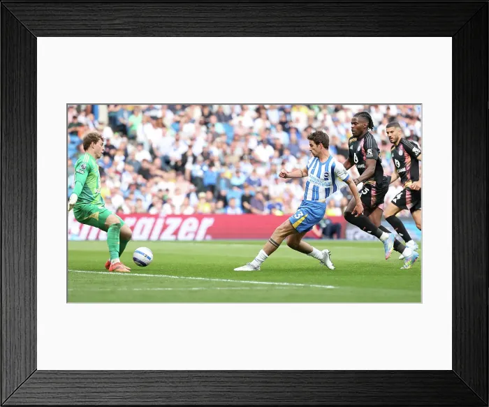 Framed Print : Brighton and Hove Albion v Leicester City Premier League 12APR25
