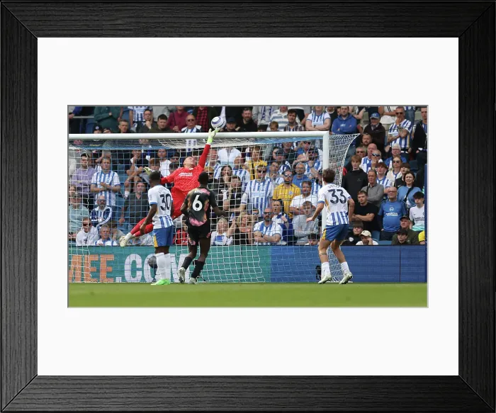Framed Print : Brighton and Hove Albion v Leicester City Premier League 12APR25 Framed Print : Brighton and Hove Albion v Leicester City Premier League 12APR25
