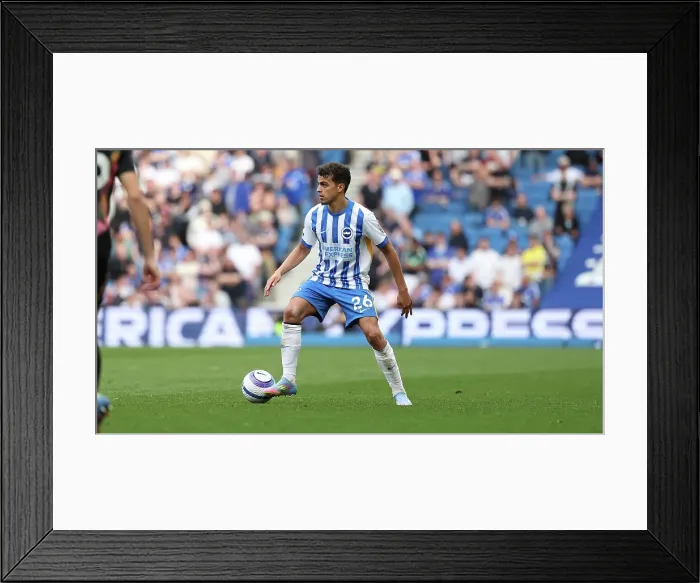 Framed Print : Brighton and Hove Albion v Leicester City Premier League 12APR25