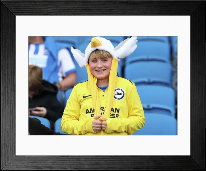 Framed Print : Brighton and Hove Albion v Leicester City Premier League 12APR25 Framed Print : Brighton and Hove Albion v Leicester City Premier League 12APR25