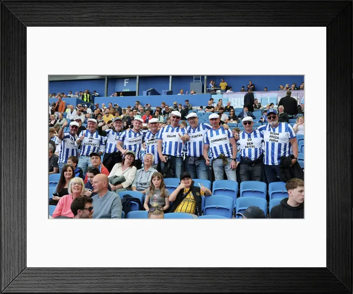Framed Print : Brighton and Hove Albion v Leicester City Premier League 12APR25 Framed Print : Brighton and Hove Albion v Leicester City Premier League 12APR25
