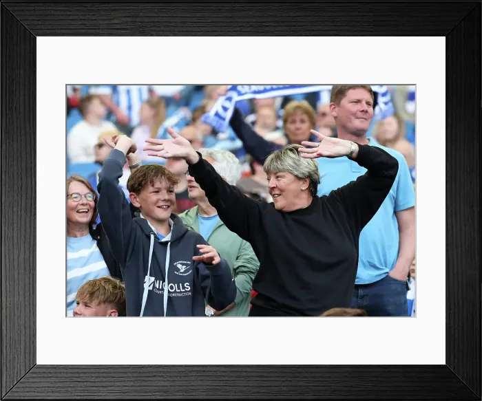 Framed Print : Brighton and Hove Albion v Leicester City Premier League 12APR25 Framed Print : Brighton and Hove Albion v Leicester City Premier League 12APR25