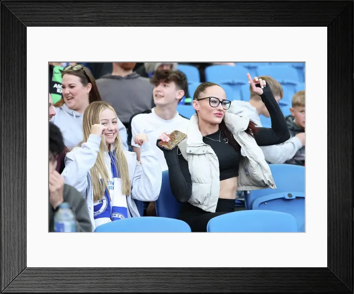 Framed Print : Brighton and Hove Albion v Leicester City Premier League 12APR25 Framed Print : Brighton and Hove Albion v Leicester City Premier League 12APR25